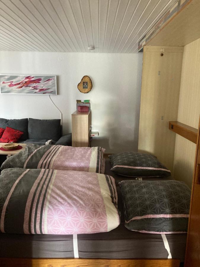 Gemuetliche Ferienwohnung In Sankt Blasien Exterior photo